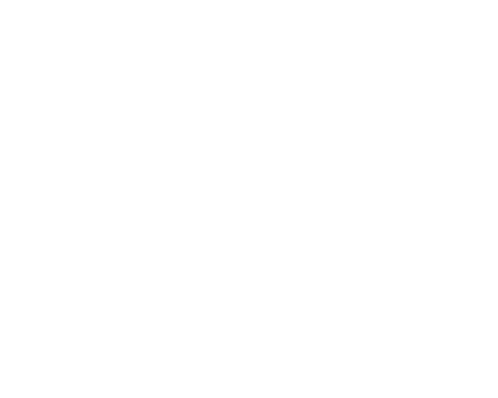 Bib logo